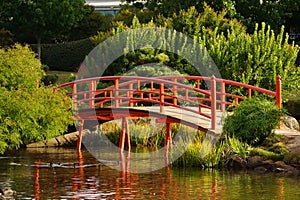 Japanese garden with bridge closeup