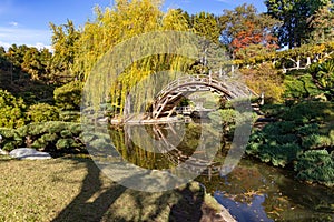 Japanese Garden Bridge