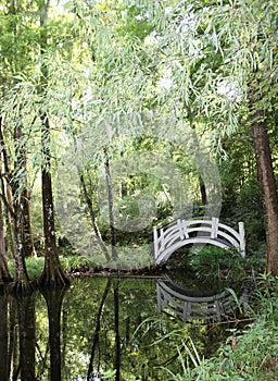 Japanese Garden Bridge