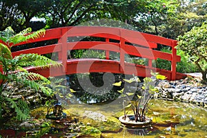 Japanese garden bridge