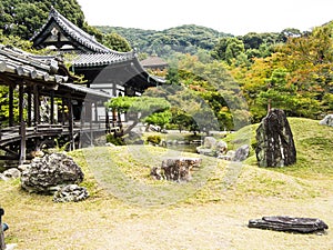 Japanese garden and bridge