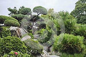 Japanese Garden of Buenos Aires, Argentina