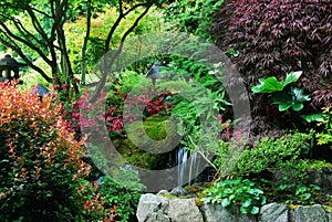 Japanese garden in butchart gardens