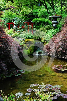 Japanese garden in butchart gardens