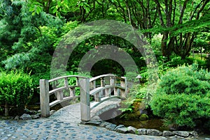 Japanese garden in butchart gardens