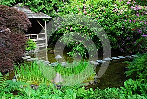 Japanese garden in butchart gardens