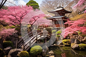 Japanese garden with cherry blossom in spring season, Tokyo, Japan, A blooming cherry blossom garden with a traditional Japanese