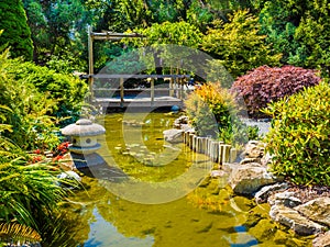 Japanese garden design with water stream and bridge