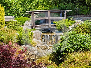 Japanese garden design with waterfall and bridge