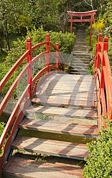 Japanese garden detail