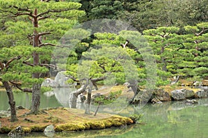 Japanese garden in early autumn.