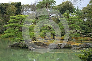 Japanese garden in early autumn.