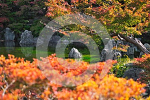 Japanese garden of Expo`70 commemorative park.