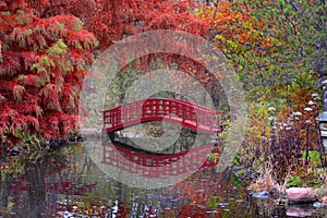 Japanese garden in fall