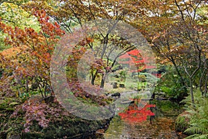 Japanese garden in fall with shades of red, orange en green photo