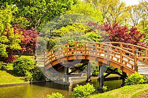 Japanese Garden Footbridge