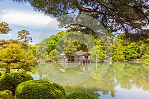 Japanese garden in full spring