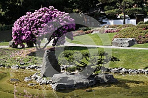 Japanese Garden in Germany