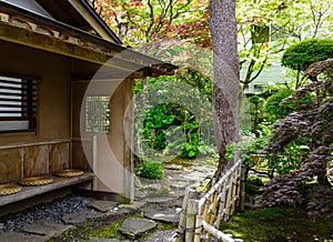 Japanese garden with green trees in summer