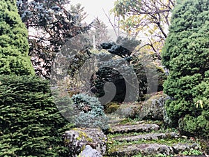 Japanese garden at Hakone city in the winter.