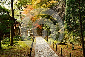 The Japanese garden in Honen-in photo