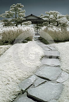 Japanese Garden in Infrared