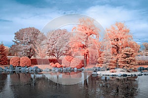 Japanese Garden in Infrared Color