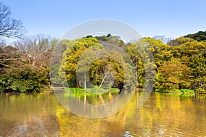 Japanese garden in Kamakura