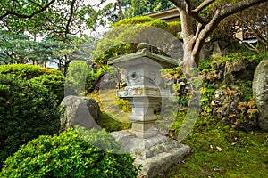 Japanese garden in Kamakura