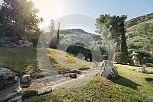 Japanese Garden at Kibbutz Hephzibah