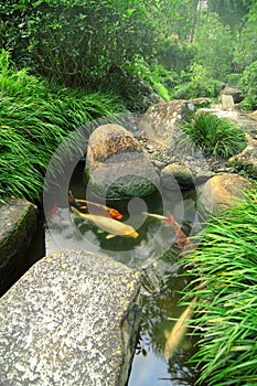 Japonés jardín a estanque 