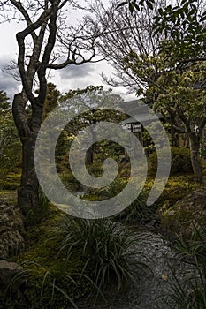 Japanese garden, Kyoto, Japan