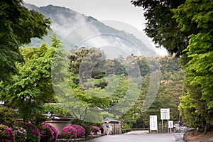 Japanese garden in Kyoto, Japan