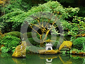 Japanese Zen Lake, Botanical Garden, Feng Shuei