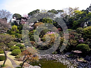 Japanese garden and lake in tokyo