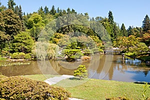 Japanese garden landscape with pond and bridge