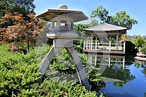 Japanese garden landscape view