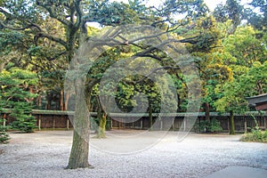 Japanese garden in the meiji shrine, Tokyo, Japan