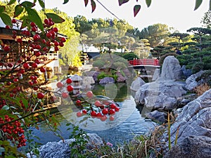 Japanese garden, Monaco