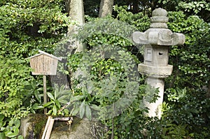 Japanese garden, Nagoya, Japan