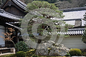 Japanese garden in Nanjenji temple, Kyoto