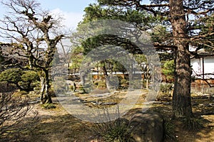 Japanese garden in National Historic site Takayama Jinya, Takayama, Japan