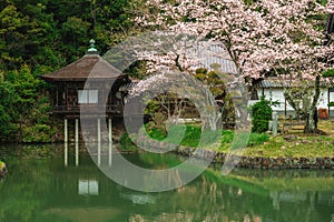 Japanese Garden of Negoro ji temple in Iwade city of Wakayama