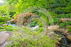 Japanese garden is part of botanic garden in Prague