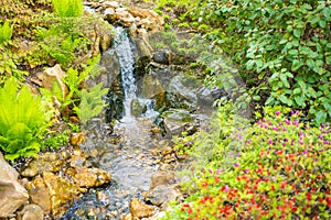 Japanese garden is part of botanic garden in Prague