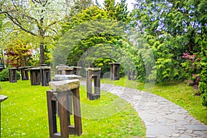 Japanese garden is part of botanic garden in Prague