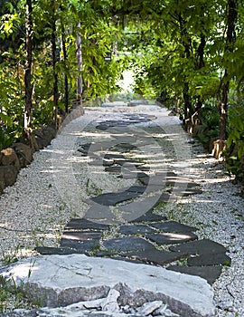 Japanese garden path