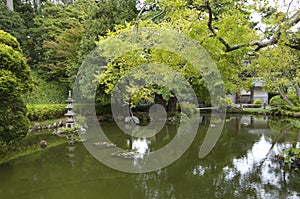 Japanese garden pond