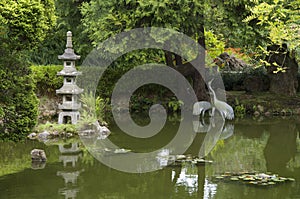 Japanese garden pond