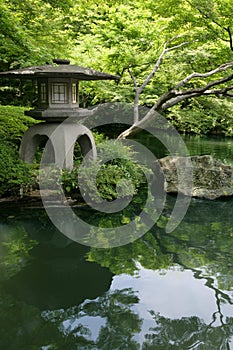 Japanese garden and pond